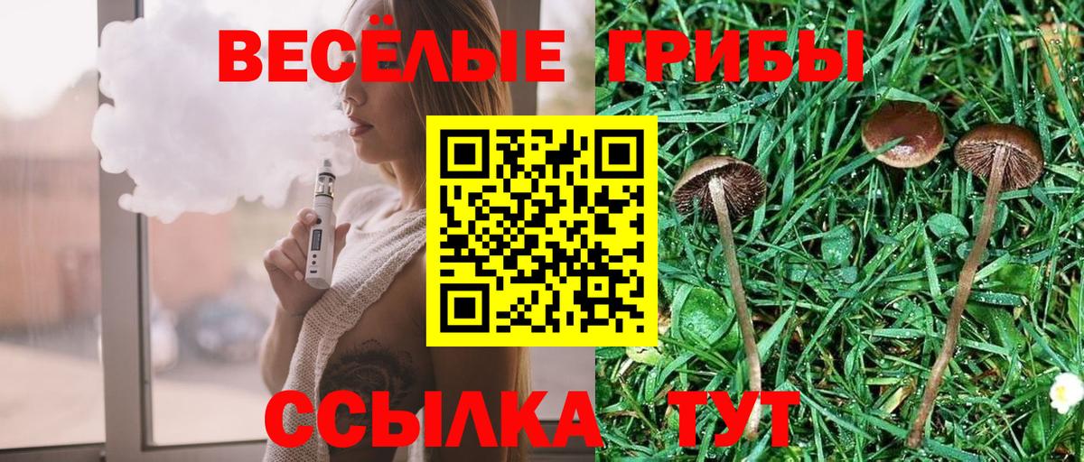 Галлюциногенные грибы прущие грибы  Вход с VPN  дарнет шоп  Благовещенск 